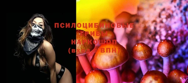 прущие грибы Абинск